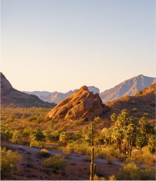 paradise-valley