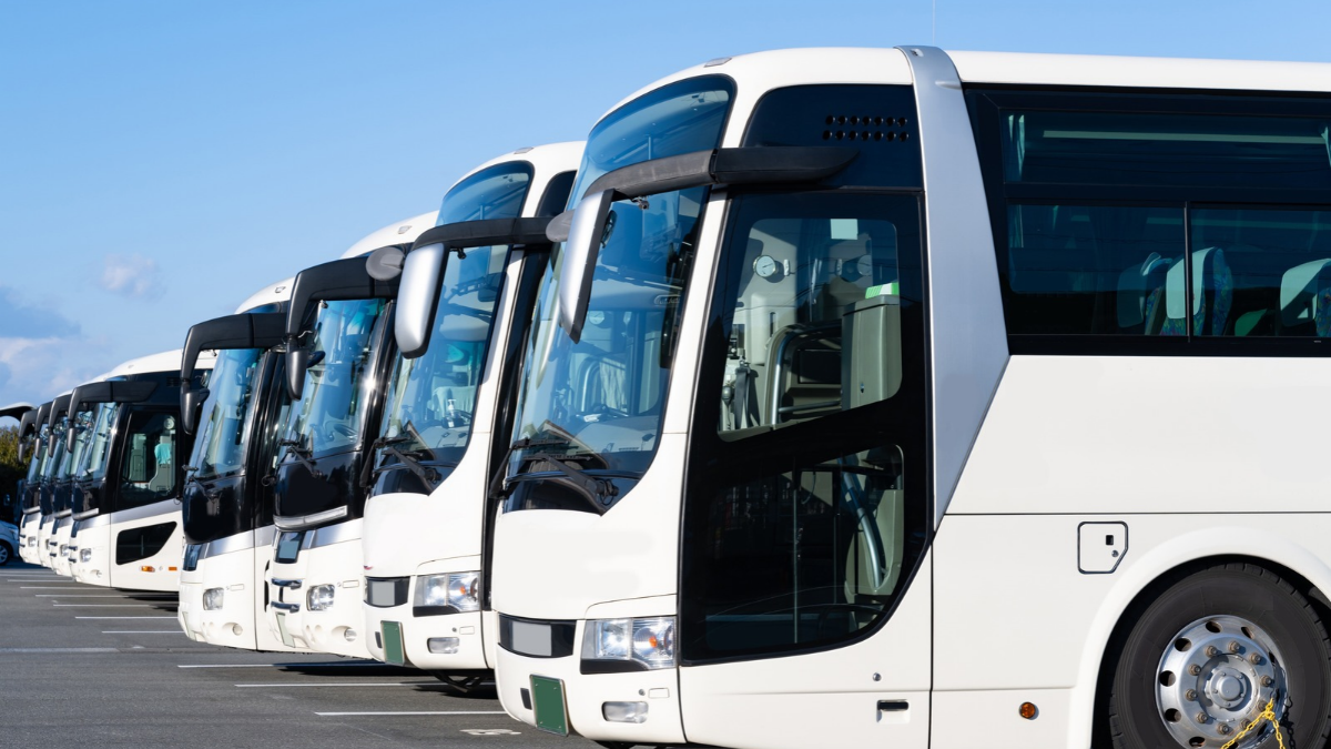 Row of white charter buses ready for event transportation.
