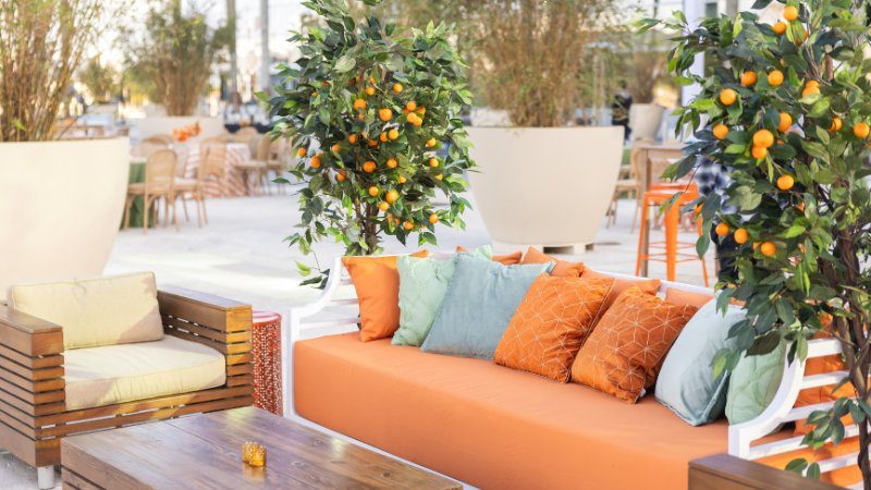Orange lounge sofa with patterned pillows beside potted citrus trees.