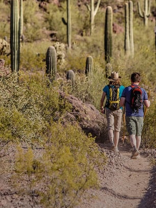 marana-arizona-featured