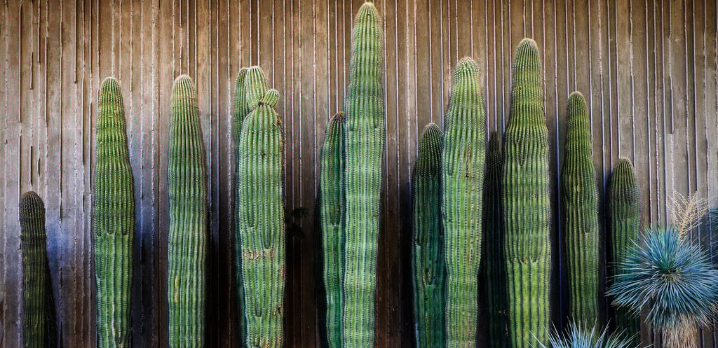 Scottsdale background