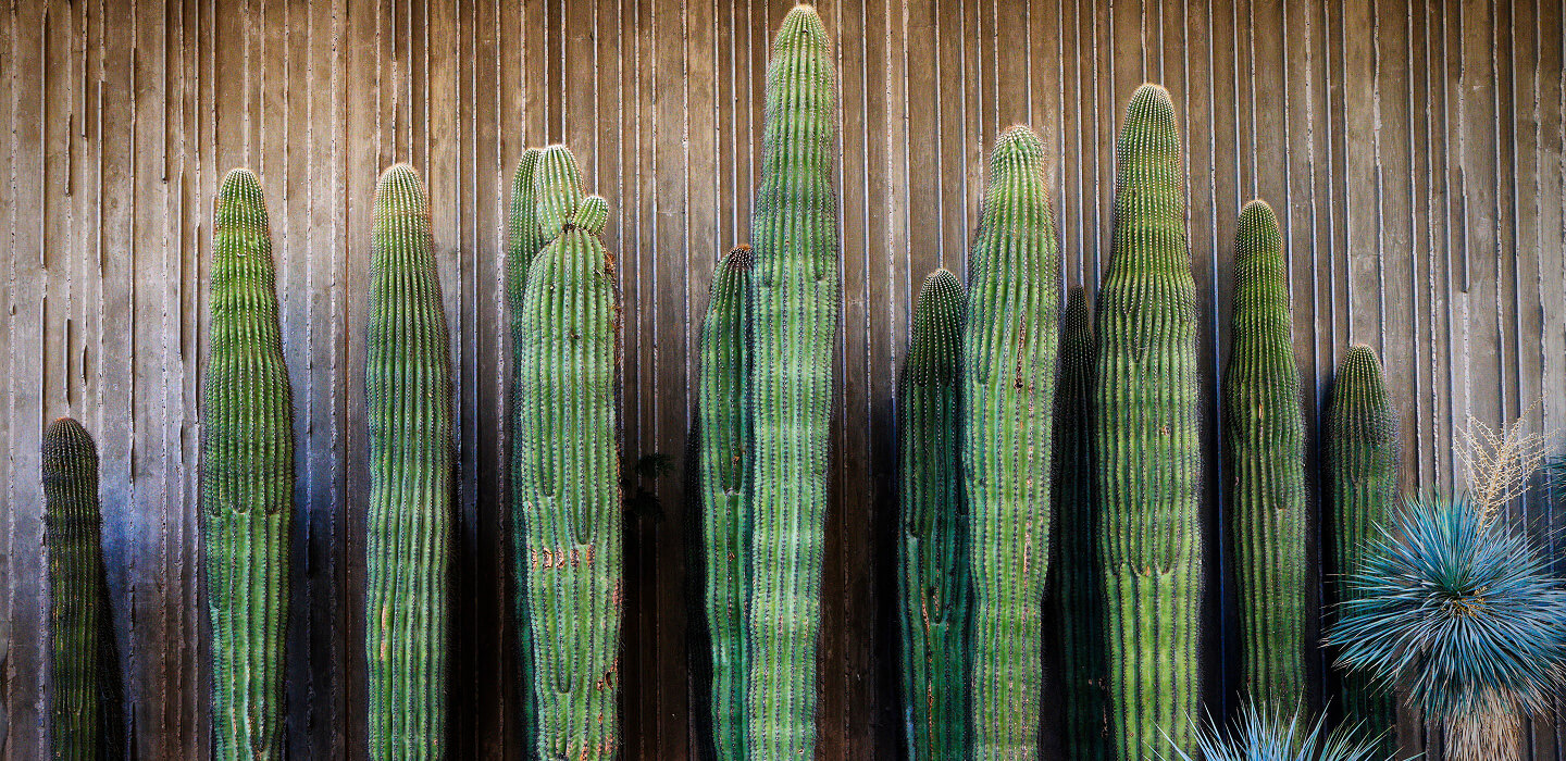 Scottsdale background