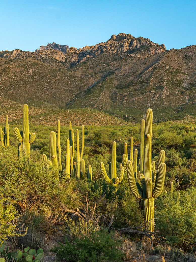 tucson-arizona-01