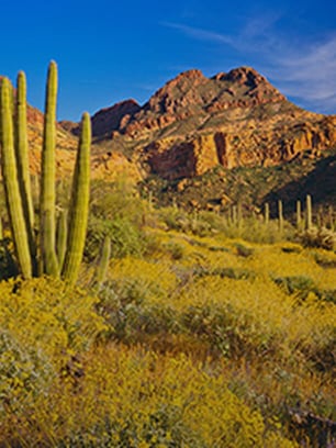 tucson-arizona-featured
