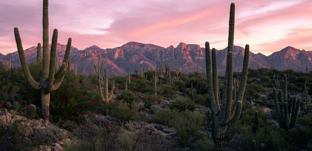 Tucson background