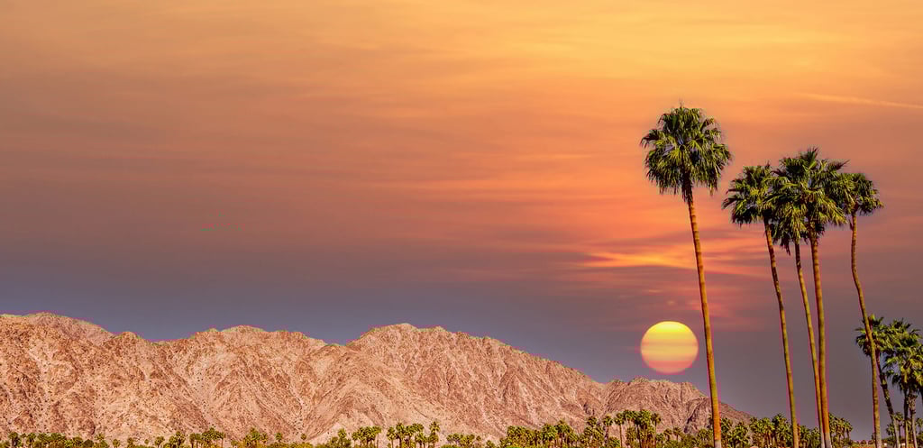Palm Springs background