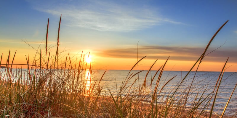 Sunset over Lake Michigan with tall grasses in the foreground and calm water reflecting warm light.