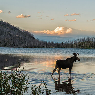 montana-05