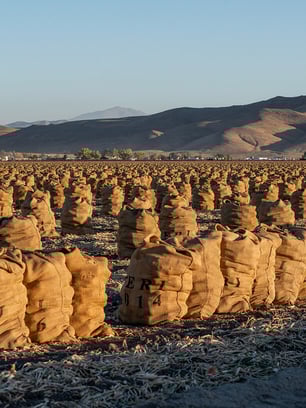 yerington-nevada-featured