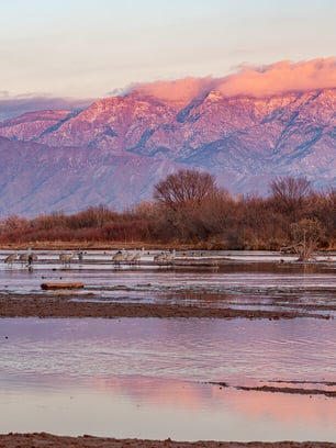 albuquerque-new-mexico-featured