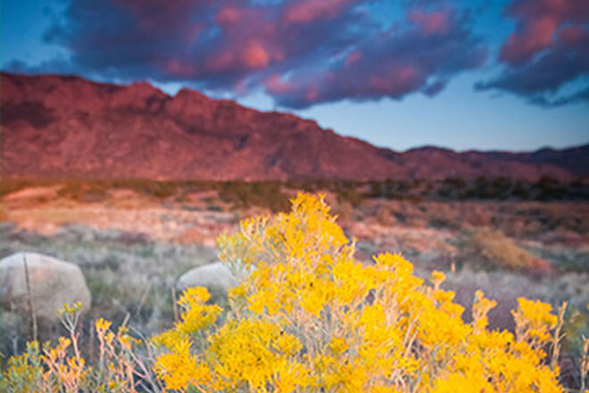 new-mexico-01
