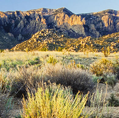 new-mexico-05