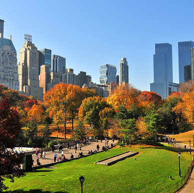 new-york-03