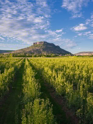 medford-oregon-featured