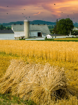 amish-country-lancaster-pennsylvania-featured