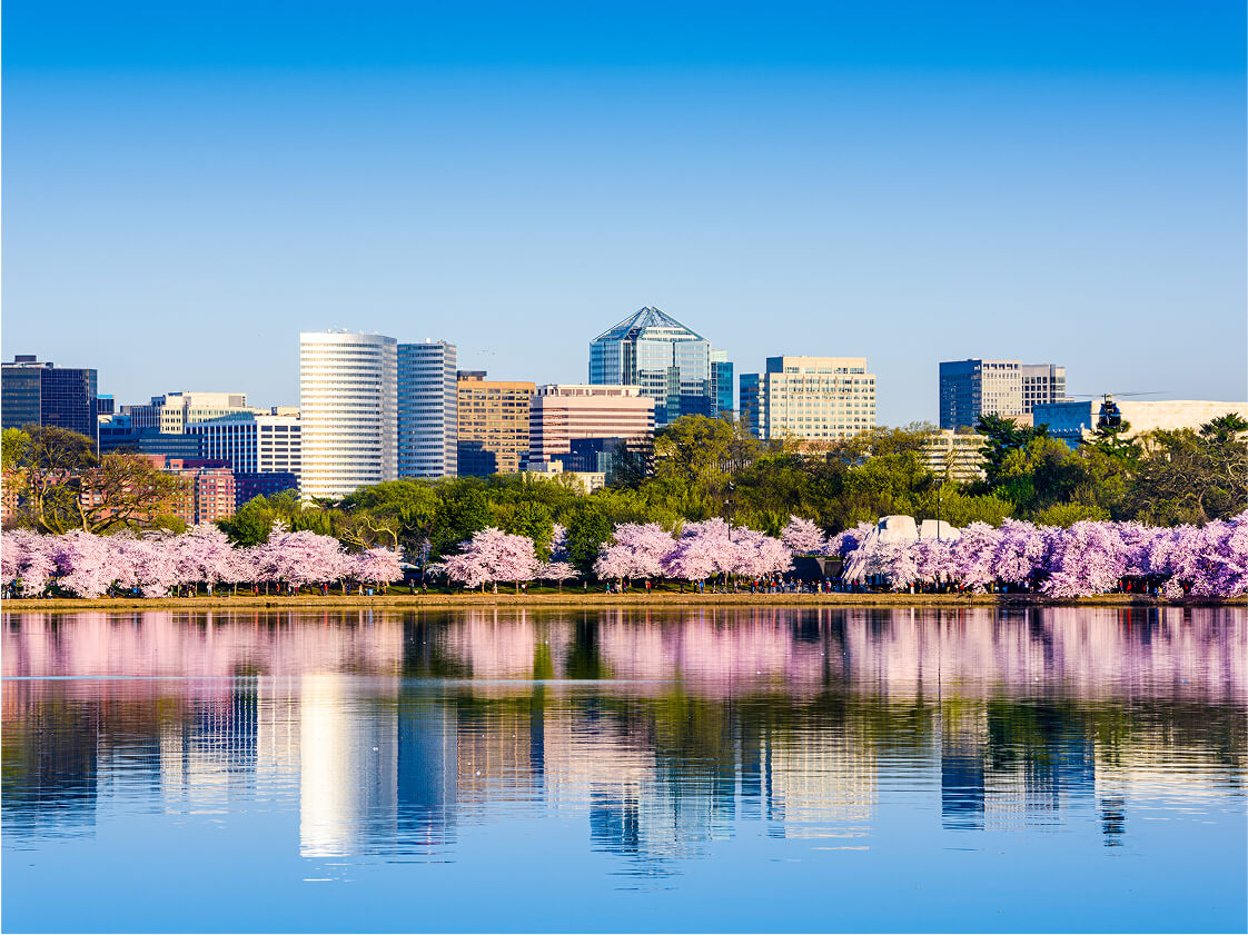 washington-dc-03
