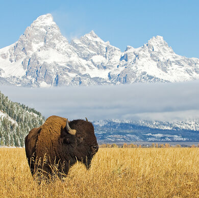 wyoming-03