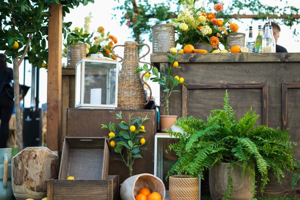 Decorative display with citrus fruits, greenery, and rustic elements arranged on a wooden surface.