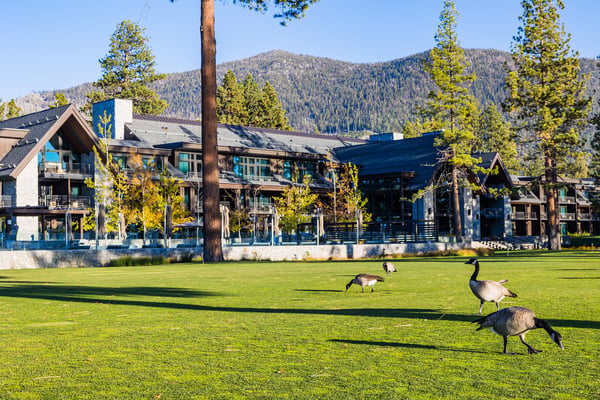 Resort lawn with mountain views. 