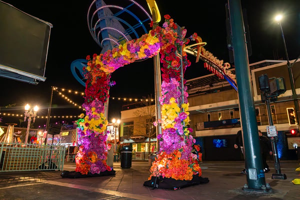 Floral arch illuminated at night. 