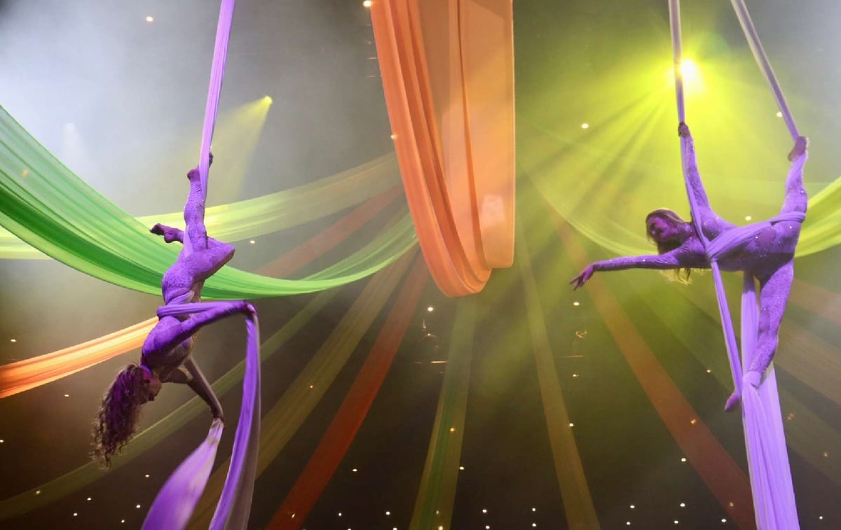 cirque purple show