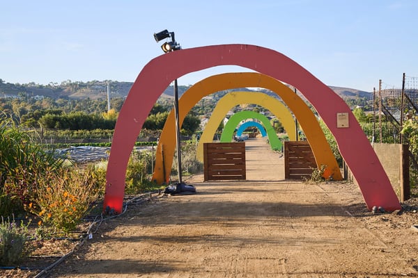 Decorative rainbow-colored arches forming a walkway in an outdoor event space.