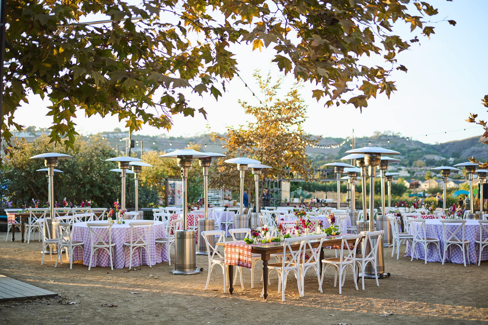 Outdoor dining area with tables and chairs arranged under trees in a vineyard setting.