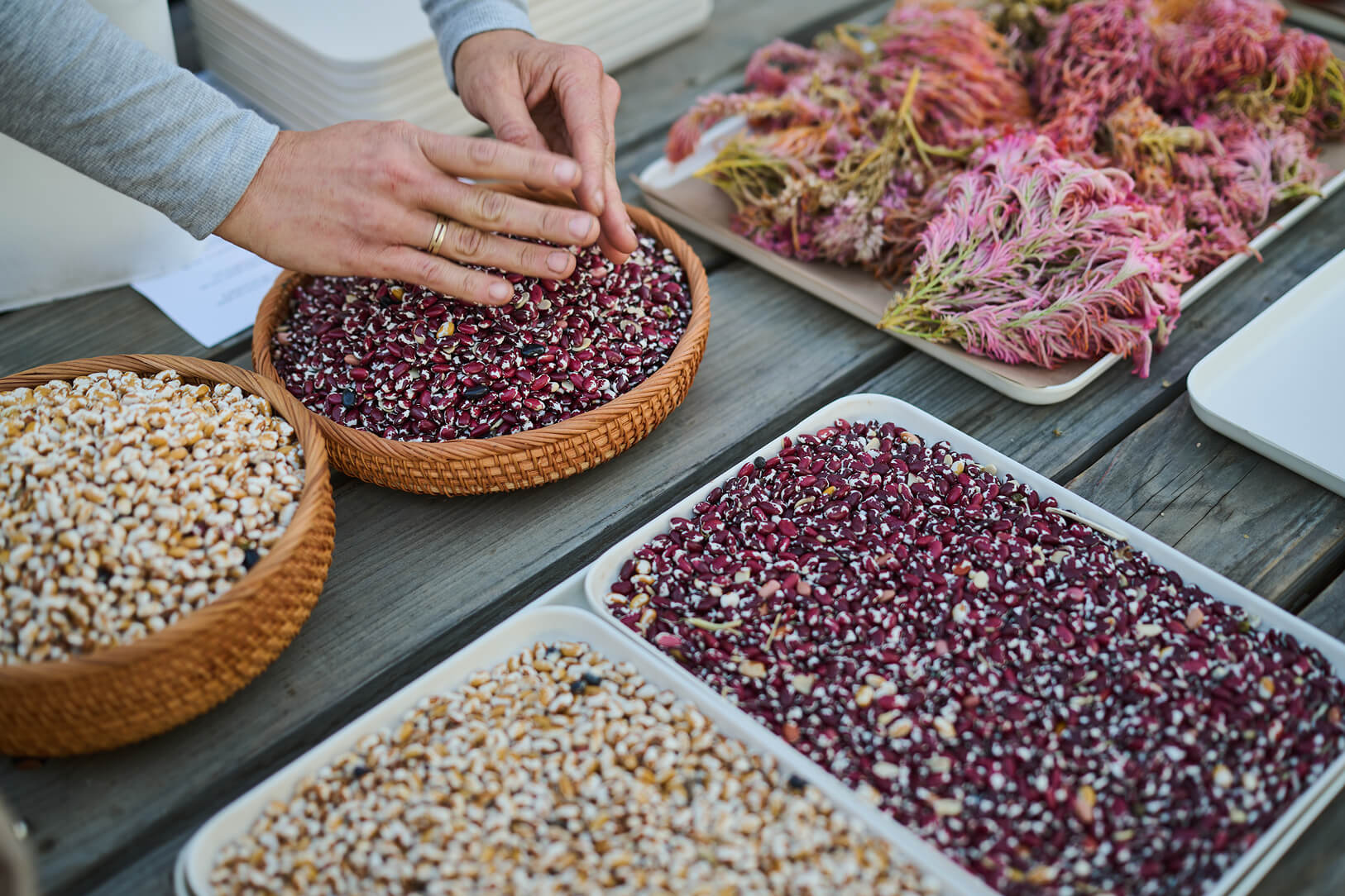 Close-up of assorted grains, seeds, and spices displayed in bowls.