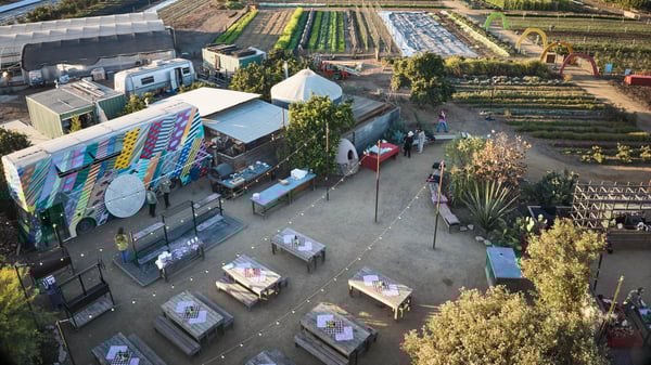 PwC Leadership Trust Leadership Institute