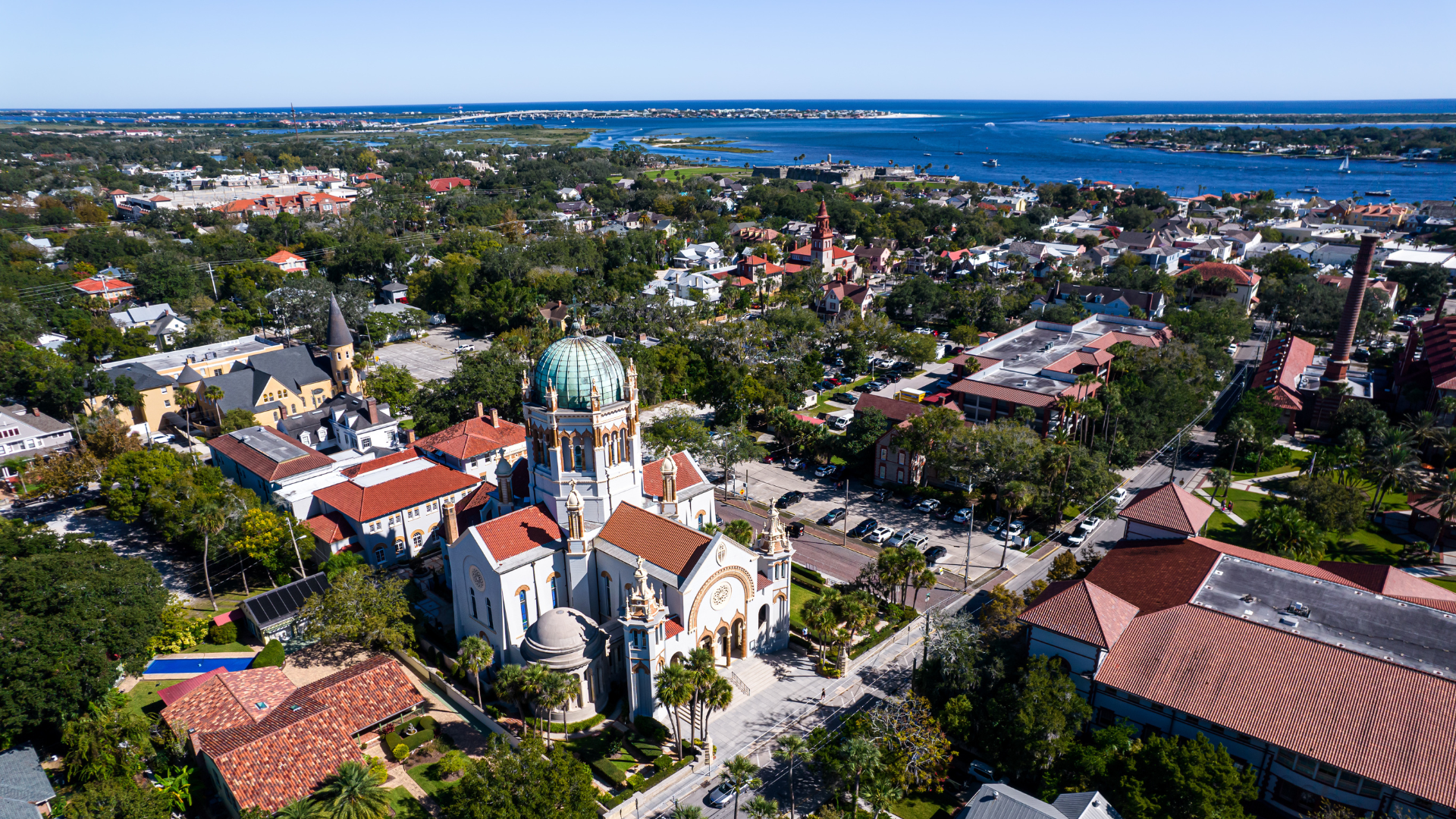 Tampa View