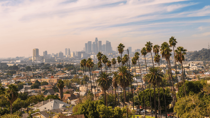 Los Angeles skyline framed by palm trees.