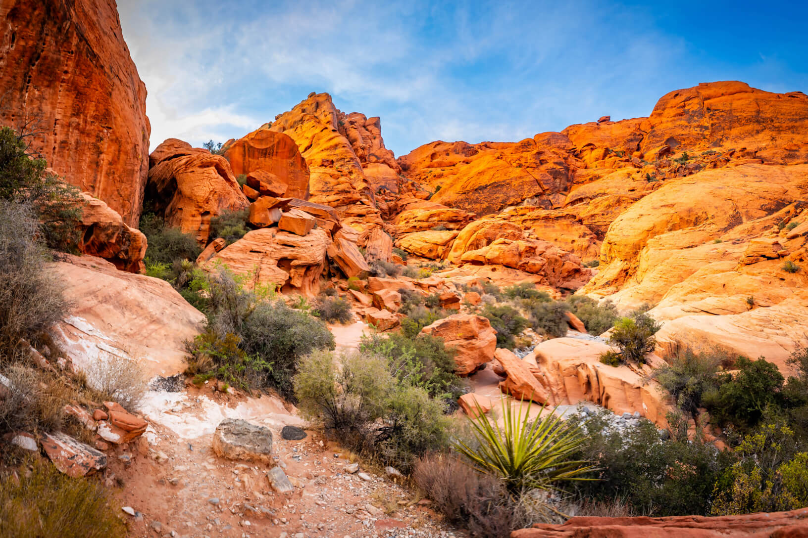 Panoramic desert landscape with vivid red sandstone formations, sparse shrubs and a blue sky.
