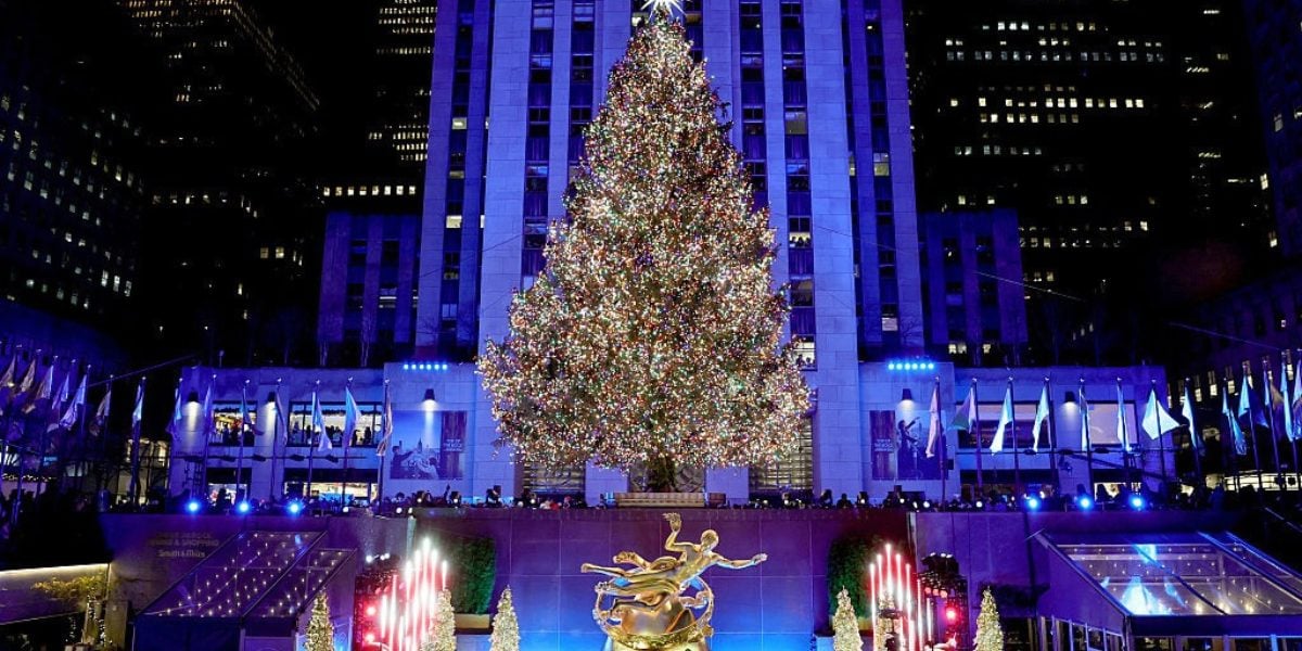 Holiday Magic: How a family planted a dream that grew into the Rockefeller Christmas Tree