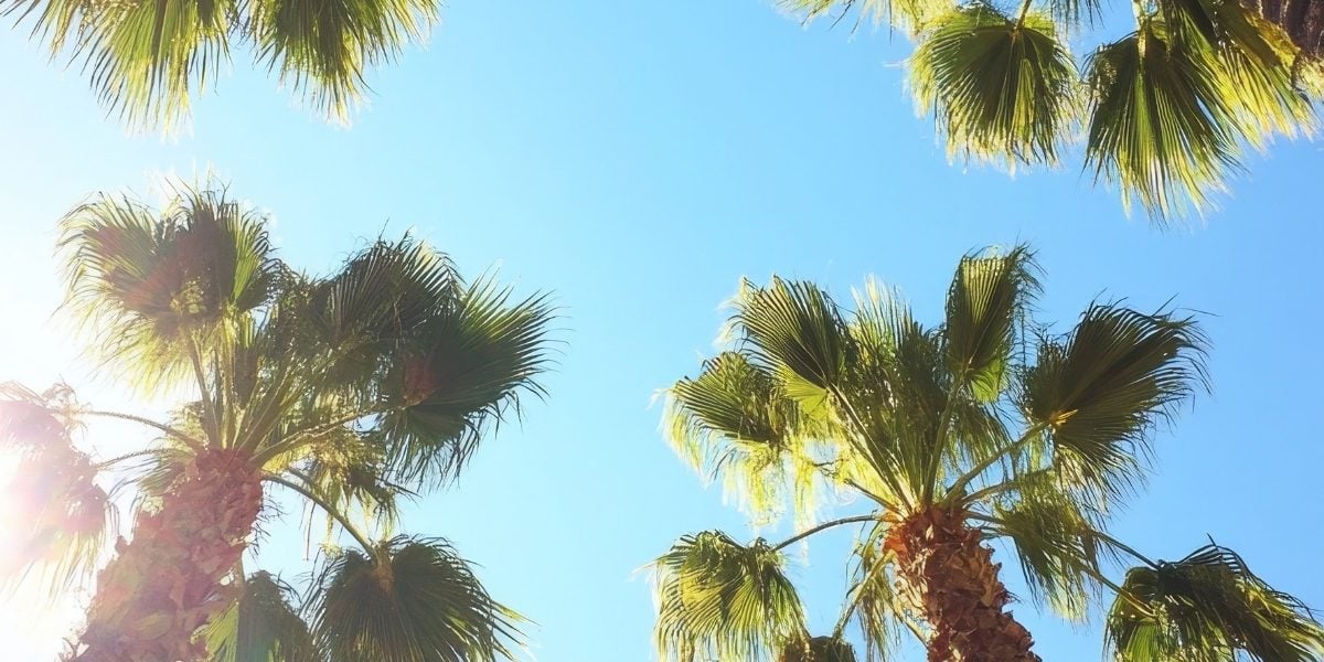 Summer State of Mind: Keeping it Cool in Florida