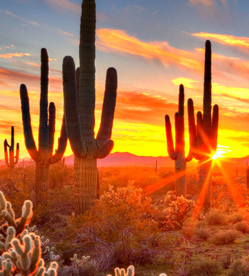 Arizona | PRA |One of The Top Destination Management Companies